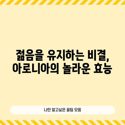 강력한 항산화제 아로니아의 놀라운 효능과 건강한 식단으로 섭취하는 방법