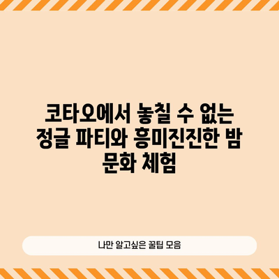 태국 코타오 여행의 모든 것 | 정글 파티, 스쿠버 다이빙, 가볼만한 곳