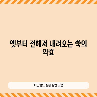 쑥의 전통적 약리 | 다양한 건강상 이점