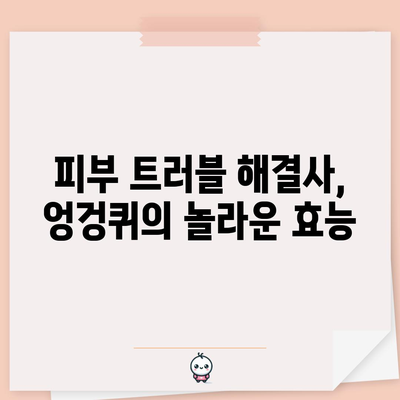 엉겅퀴의 강력한 효능 | 6가지 놀라운 이점