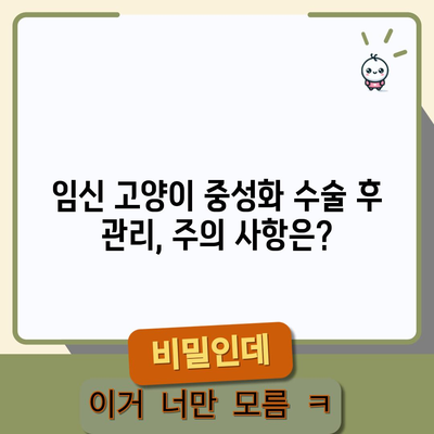 임신 고양이 중성화 지침 | 증상, 수술 시기, 이유