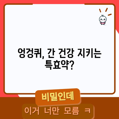 엉겅퀴의 강력한 효능 | 6가지 놀라운 이점