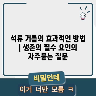 석류 거름의 효과적인 방법 | 생존의 필수 요인