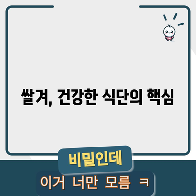 쌀겨의 영양적 이점 | 4가지 건강상 혜택