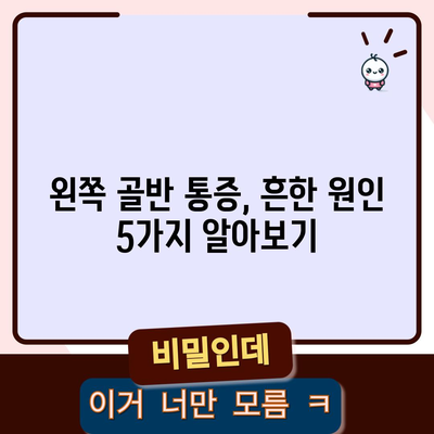 왼쪽 골반 통증의 원인과 해결 방법