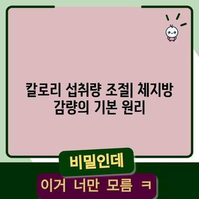 체지방을 효과적으로 줄이는 과학적 방법