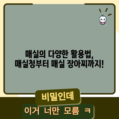 매실 수확 완벽 가이드 | 신선한 청매실과 황매실