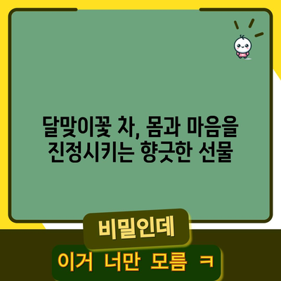 달맞이꽃의 축복 | 다양한 효능과 사용법