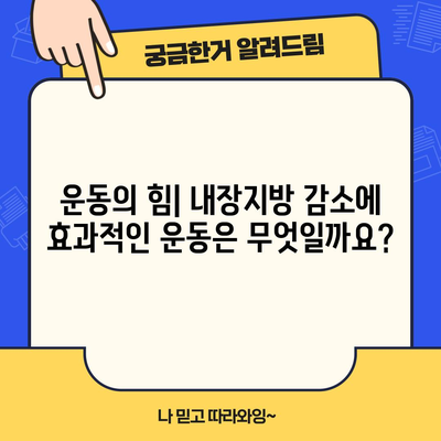 내장지방 빠르게 없애기 | 과학적 근거에 기반한 방법