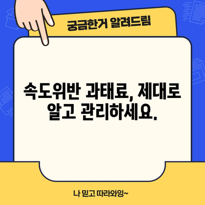 속도위반 과태료 관리 | 조회, 납부, 벌점 확인