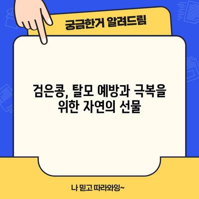 검은콩의 탈모 대적 마법 | 놀라운 이점
