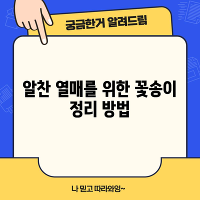 샤인머스켓 포도 개화 관리 | 꽃송이 정리의 중요성