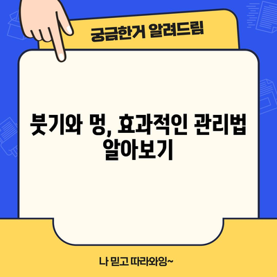 눈 주위 피멍 제거 6가지 | 빠른 회복을 위한 꿀팁