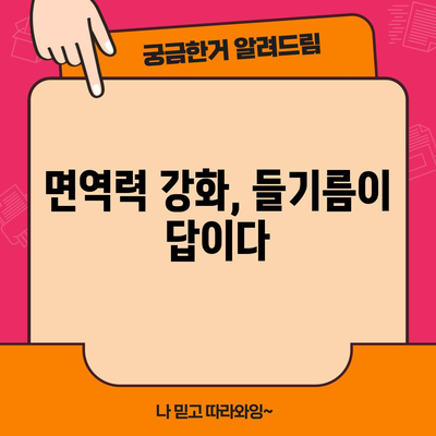 들기름의 6가지 필수 영양소 | 피부 건강부터 면역력까지