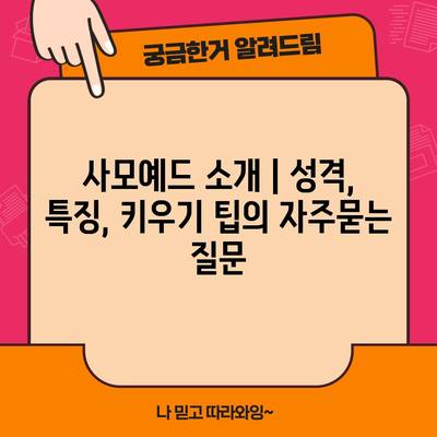 사모예드 소개 | 성격, 특징, 키우기 팁