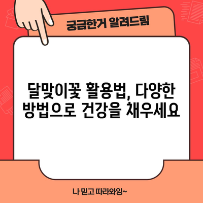 달맞이꽃의 축복 | 다양한 효능과 사용법