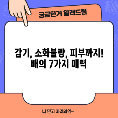 배의 달콤한 효능 | 7가지 건강 비밀