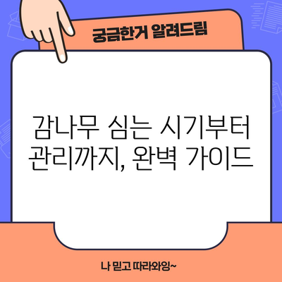 감나무 재배 완전 정복 | 달콤한 열매를 선사하는 방법