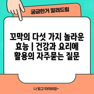 꼬막의 다섯 가지 놀라운 효능 | 건강과 요리에 활용