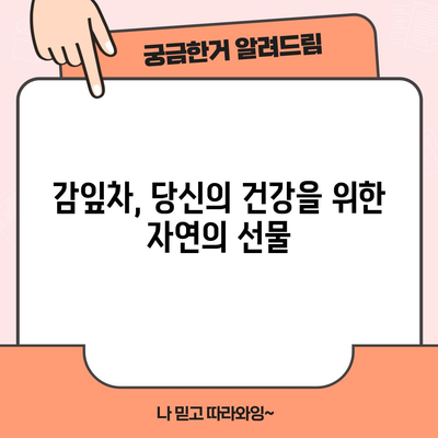 감잎차의 놀라운 효능 | 건강과 웰빙 향상