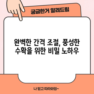 가지 모종 심기 완벽 가이드 | 간격, 방법, 재배 성공 비결