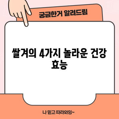 쌀겨의 영양적 이점 | 4가지 건강상 혜택