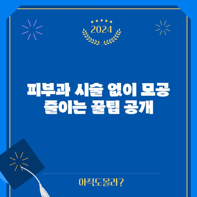 모공 크기 줄이는 확실한 팁