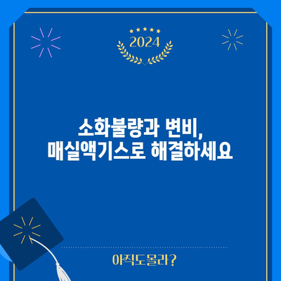 매실액기스의 다면적인 효능 | 건강 증진의 비밀 무기