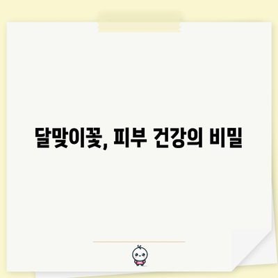 달맞이꽃의 축복 | 다양한 효능과 사용법
