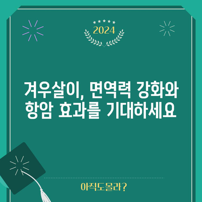 겨우살이 | 다목적 허브의 건강상 이점 탐구