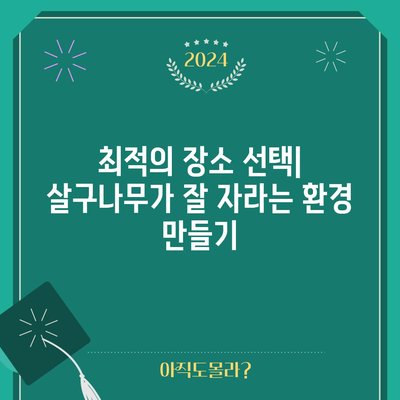 살구나무 묘목 심기 비법