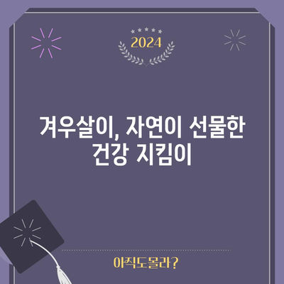겨우살이 | 다목적 허브의 건강상 이점 탐구