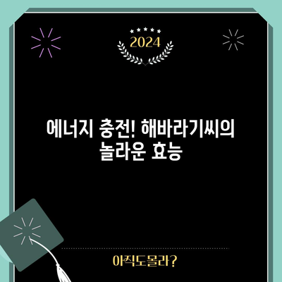 해바라기씨의 영양력 | 건강에 좋은 다양한 효능