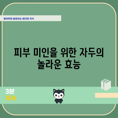 자두 | 단맛과 건강함이 공존하는 놀라운 효능