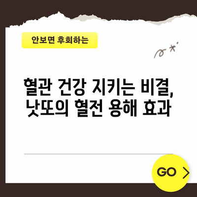 낫또의 놀라운 건강상 이점