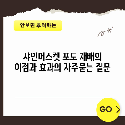 샤인머스켓 포도 재배의 이점과 효과