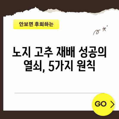 노지 고추 재배 | 성공을 위한 필수 원칙