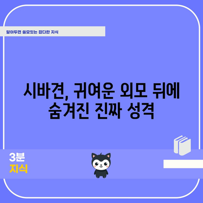 시바견의 진짜 성격 탐구