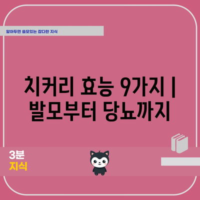 치커리의 효능 9가지 | 발모부터 당뇨까지