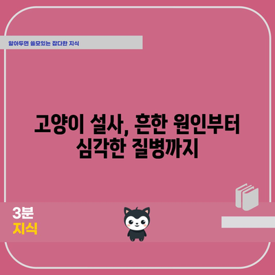 고양이 설사의 원인 | 숨겨진 메시지 해독