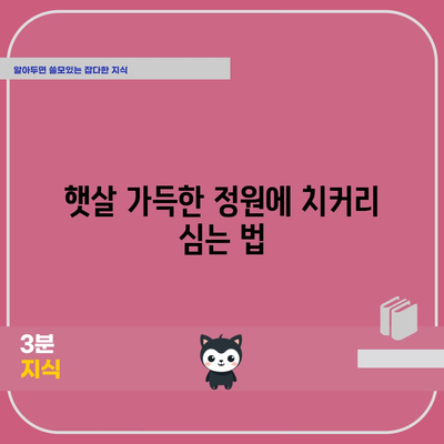 심장 건강과 항암에 좋은 치커리 파종 가이드