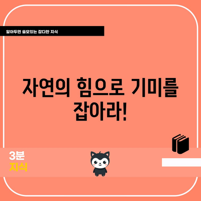 기미 해결을 위한 식품의 힘