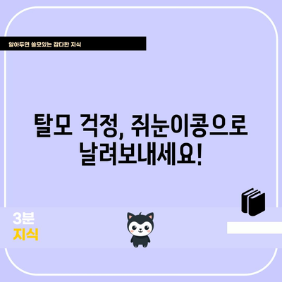 탈모 예방에 좋은 쥐눈이콩의 놀라운 효능과 맛있는 레시피