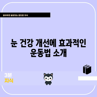 눈건강을 위한 운동법 가이드