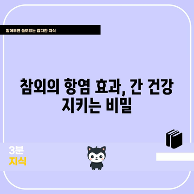 간 건강을 위한 참외의 7가지 효능 | 해독, 소염, 면역력 향상