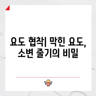 요도 협착 | 증상, 치료법, 예방법