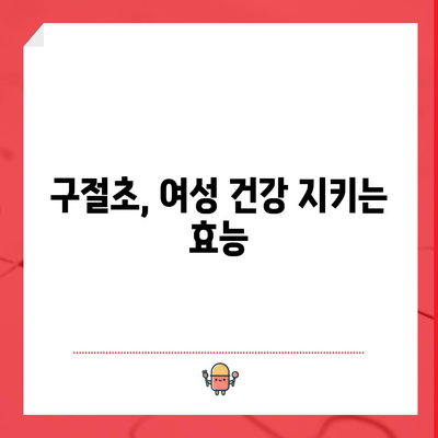 구절초의 4가지 효능과 사용법