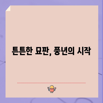 노지 고추 재배 | 성공을 위한 필수 원칙