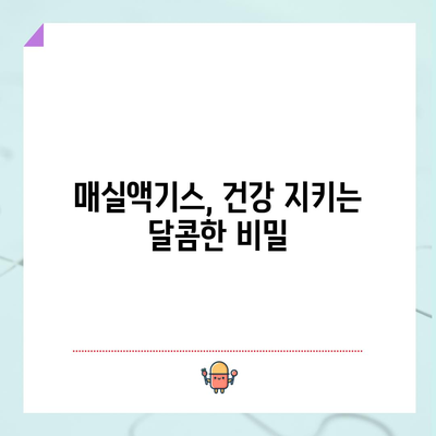 매실액기스의 다면적인 효능 | 건강 증진의 비밀 무기