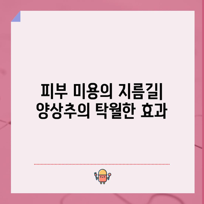 양상추, 비타민과 미네랄이 풍부한 6가지 효능
